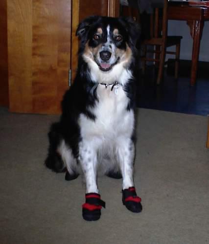 new boots