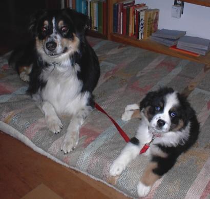 Molly and Riker